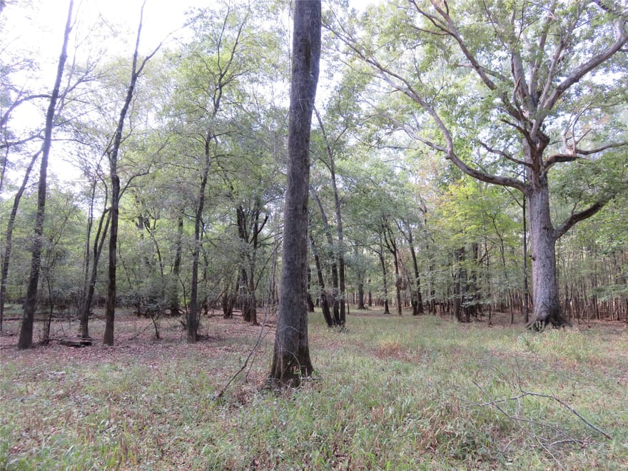 9795 Highway 59, Nacogdoches, Texas