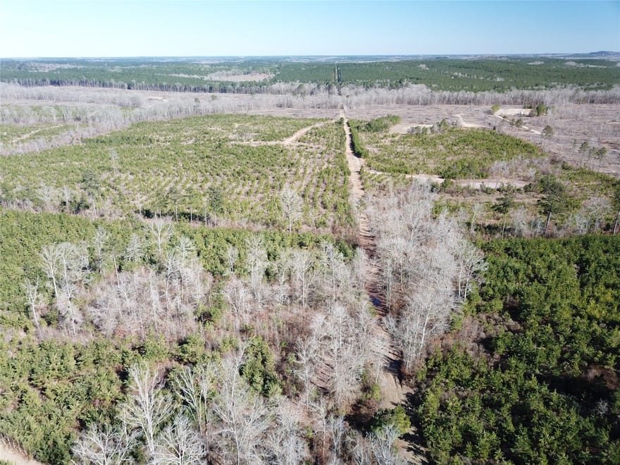 Off Hwy 517, Gibsland, Louisiana