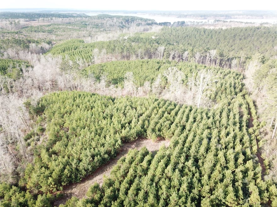 Off Mcmanus Road, Zwolle, Louisiana
