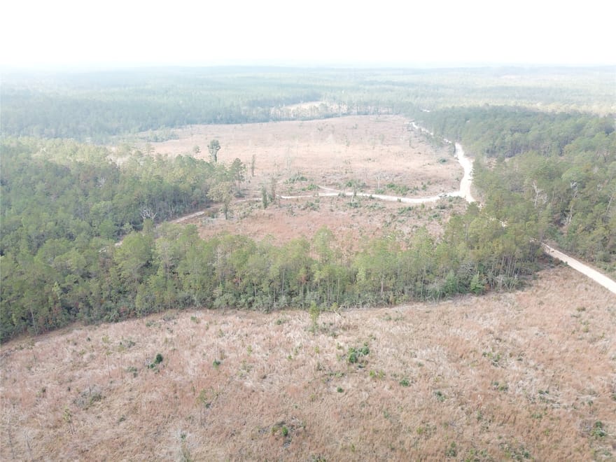 County Road 2845, Colmesneil, Texas