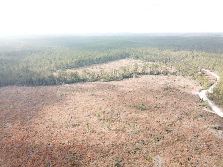 County Road 2845, Colmesneil, Texas