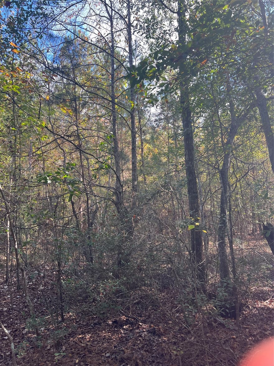 Gore Store Road, Kountze, Texas