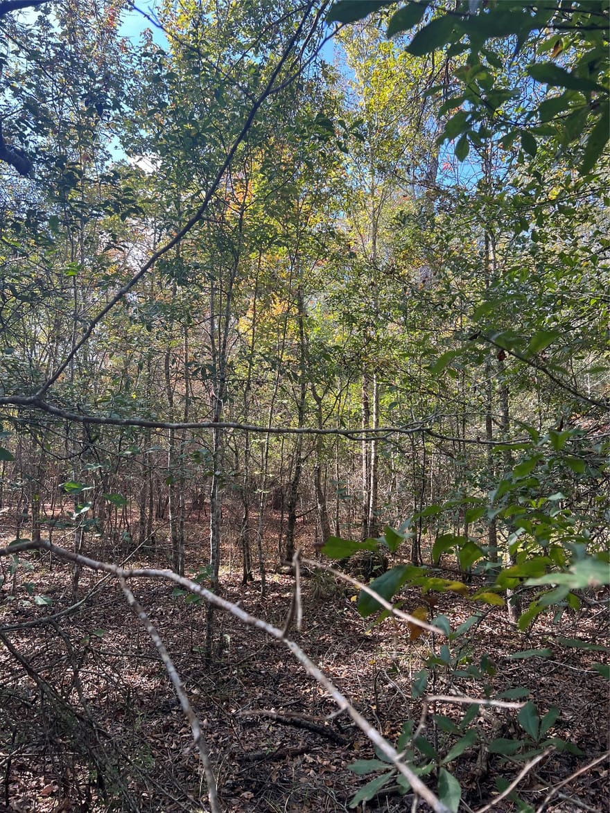 Gore Store Road, Kountze, Texas