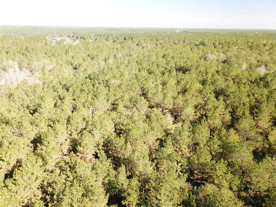 Hunting Lodge Road, Kountze, Texas