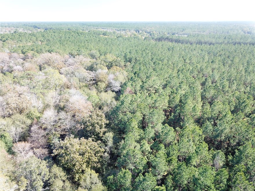 Fm 770, Kountze, Texas