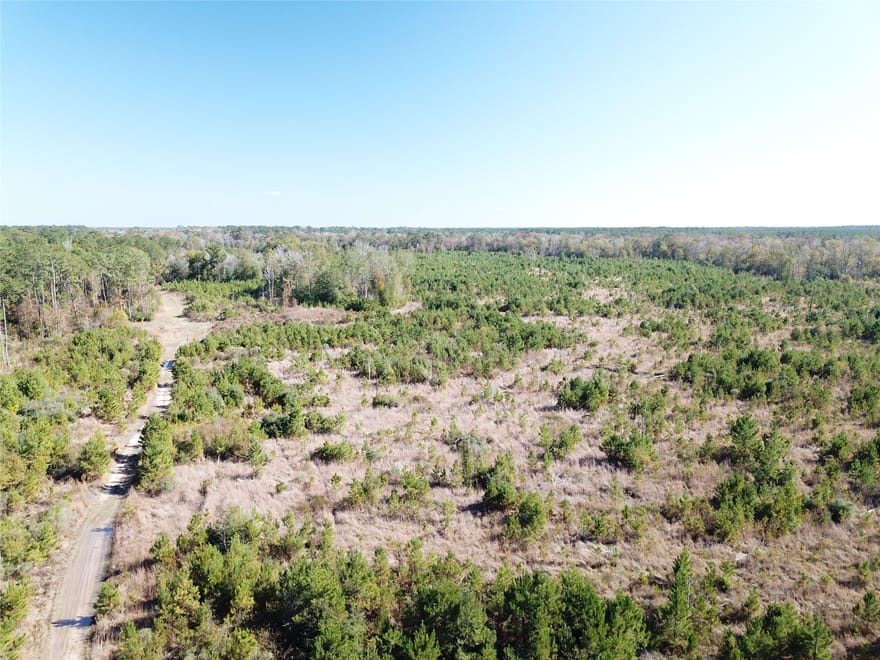Fm 770, Kountze, Texas