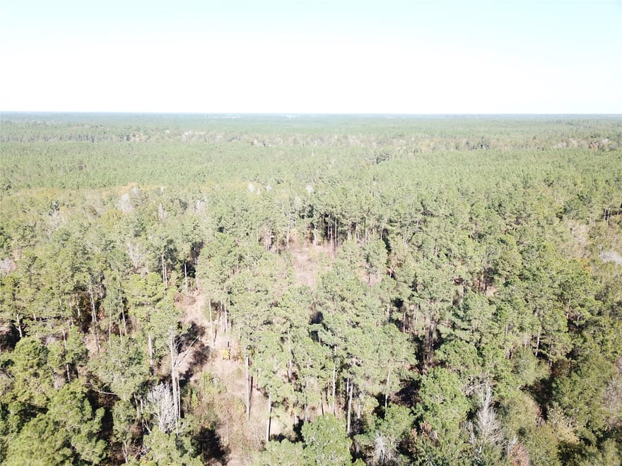 Fm 770, Kountze, Texas