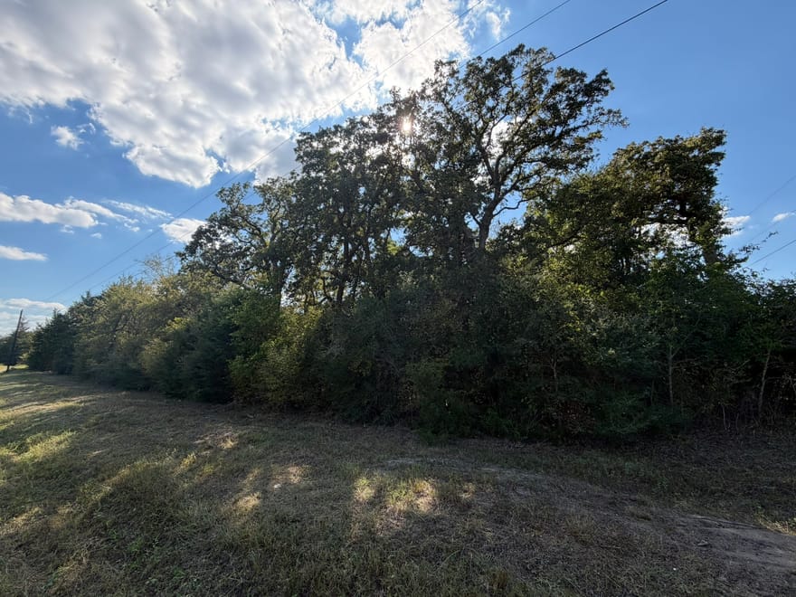 12495 Burgess Road, Iola, Texas