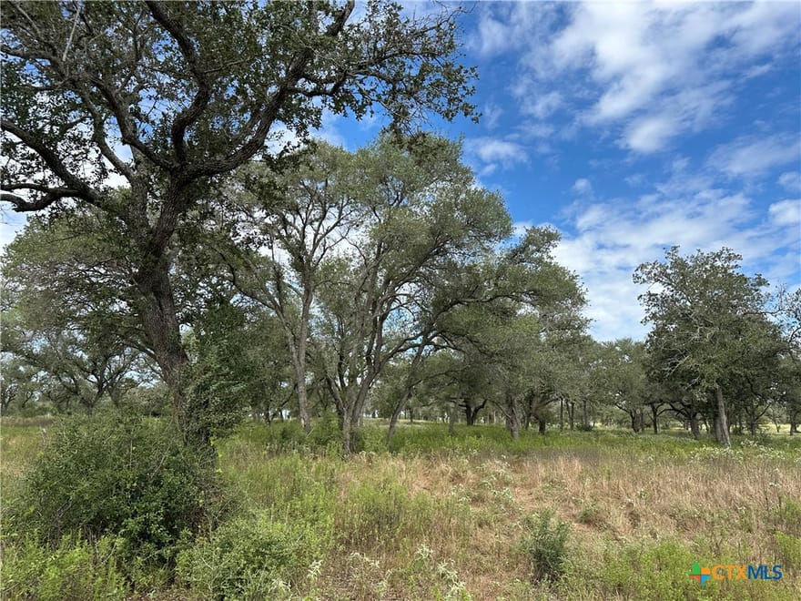 Tract 3 Regan Lane, Victoria, Texas