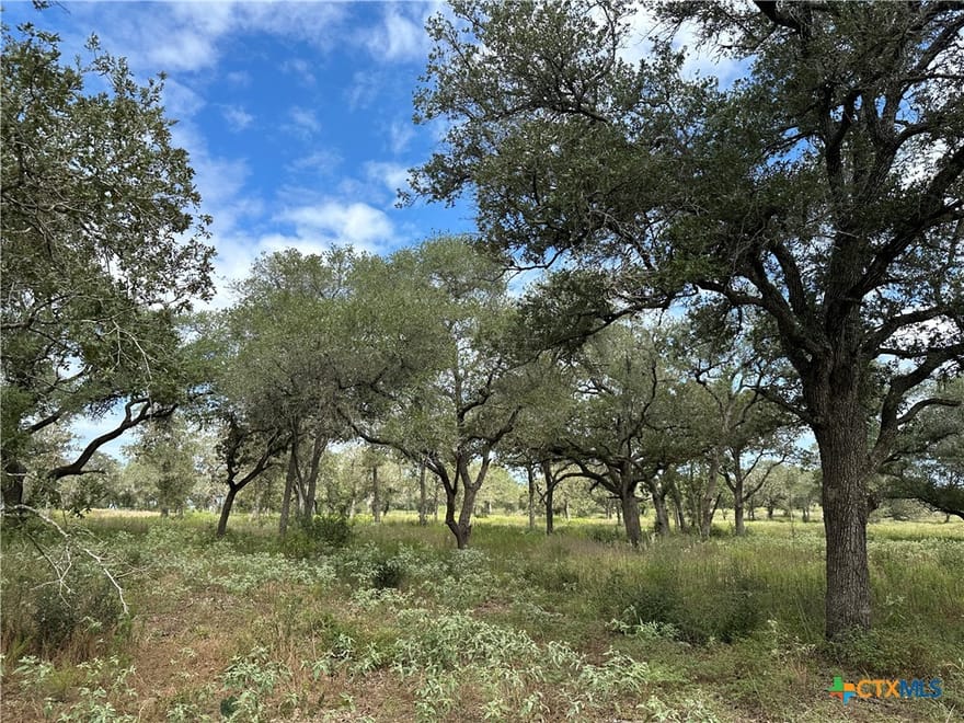 Tract 3 Regan Lane, Victoria, Texas