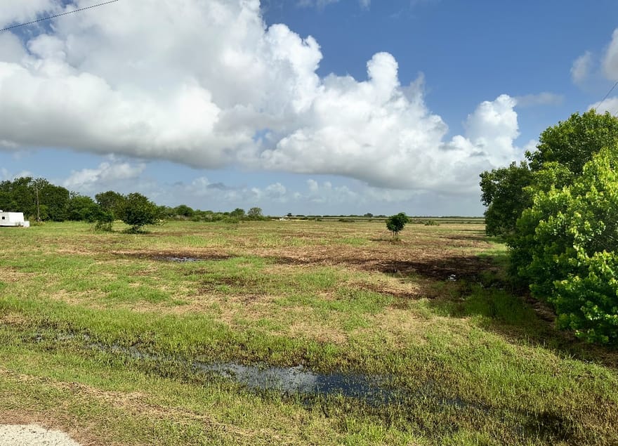Rabbit Run Road, Victoria, Texas