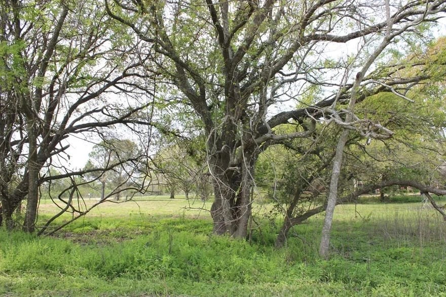 852 CR 303 Green Avenue, Palacios, Texas