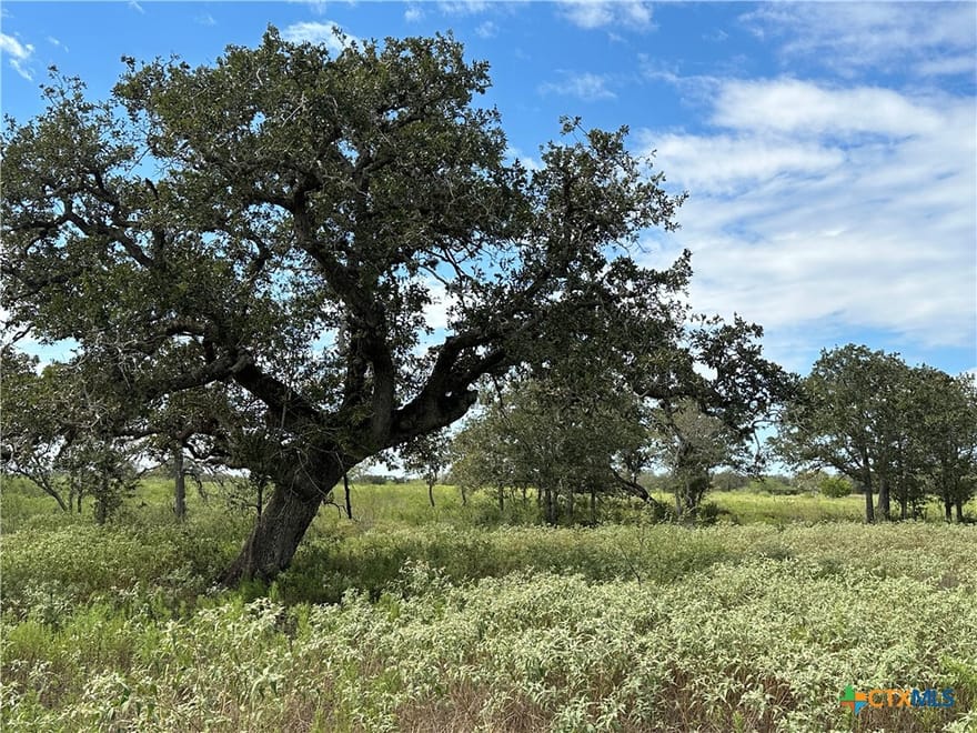 Tract 1 Regan Lane, Victoria, Texas