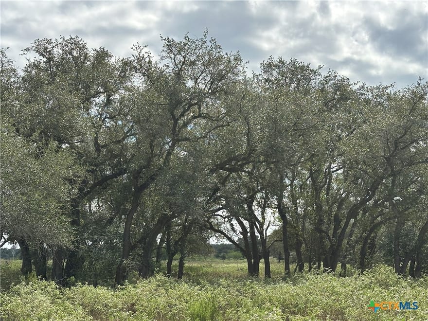 Tract 1 Regan Lane, Victoria, Texas