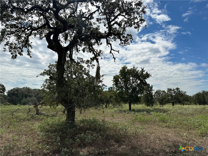 Tract 1 Regan Lane, Victoria, Texas