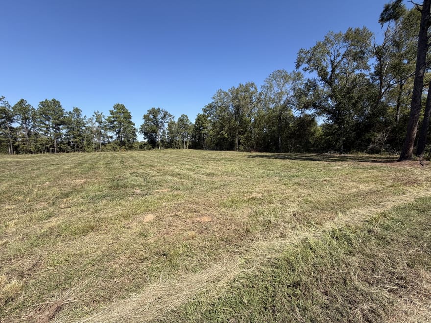 Ranchland Drive, Grand Cane, Louisiana
