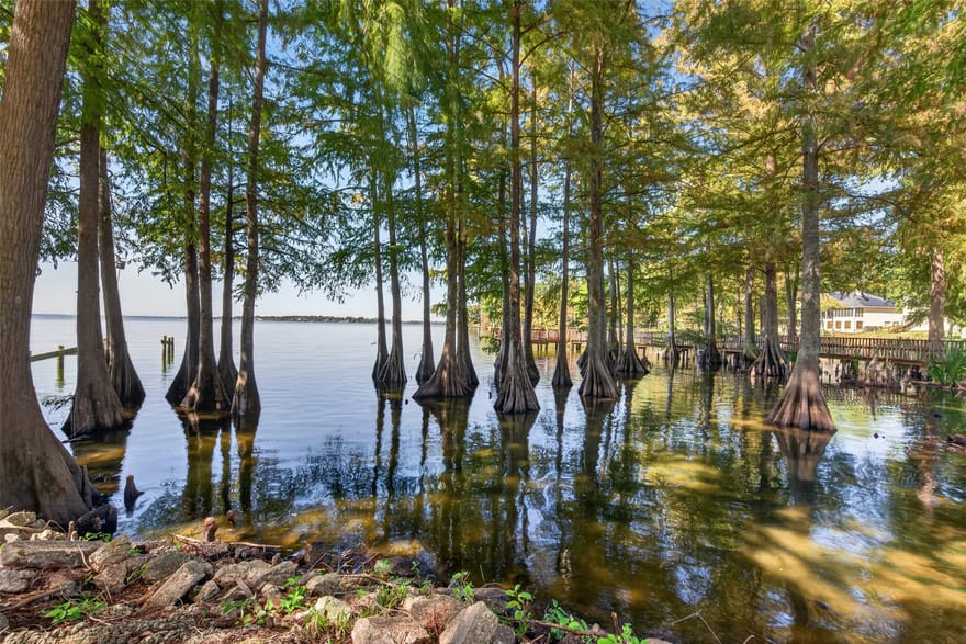 1736 Willow Point Drive, Shreveport, Louisiana