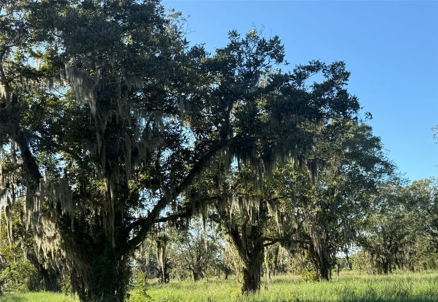 County Road 13, Damon, Texas