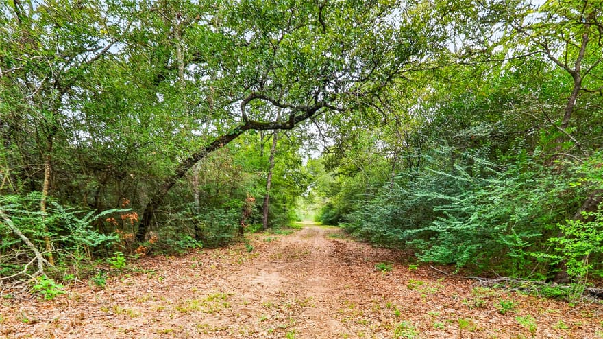 8619 Private Road 1100, Leona, Texas