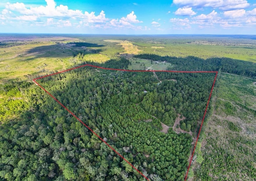 1707 County Road 037, Jasper, Texas