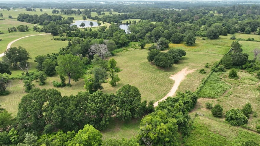636 W Fisher Street, Bellville, Texas