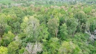 9.3AC County Road 2035, Newton, Texas