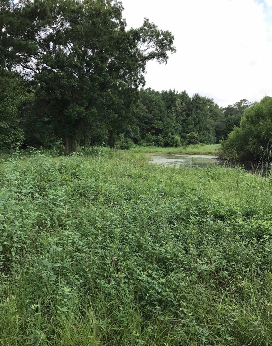 2097 Fm E, Chester, Texas