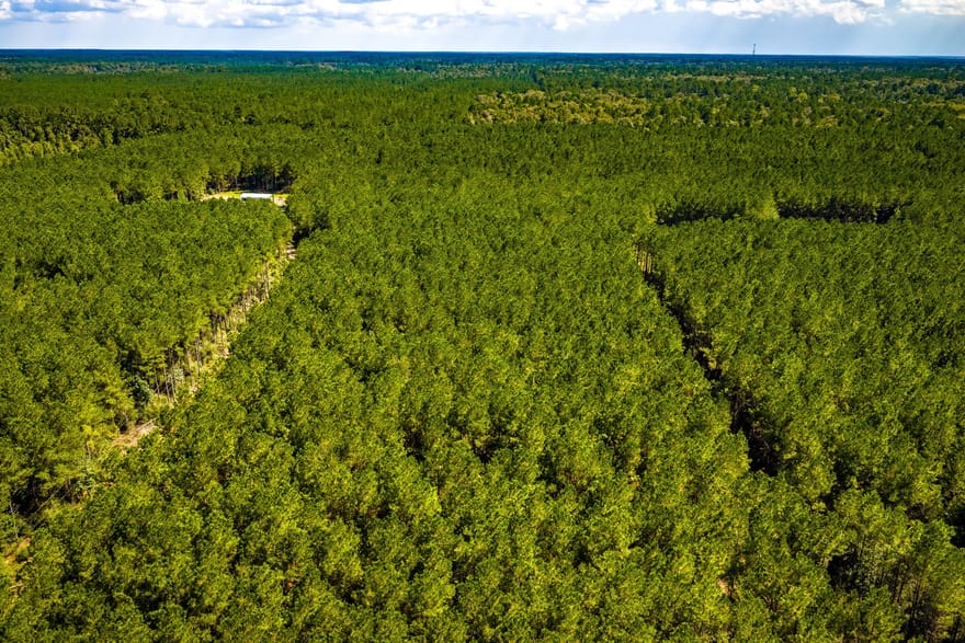 Duff Road, Livingston, Texas