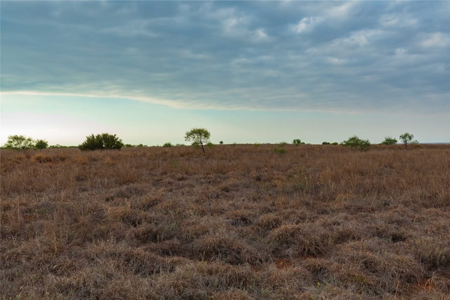 TBD Fm 2834, Hamlin, Texas