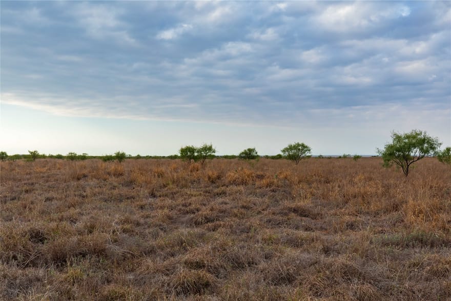 TBD Fm 2834, Hamlin, Texas