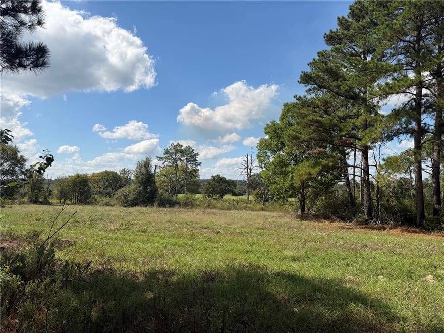 14234 Highway 90, Bedias, Texas