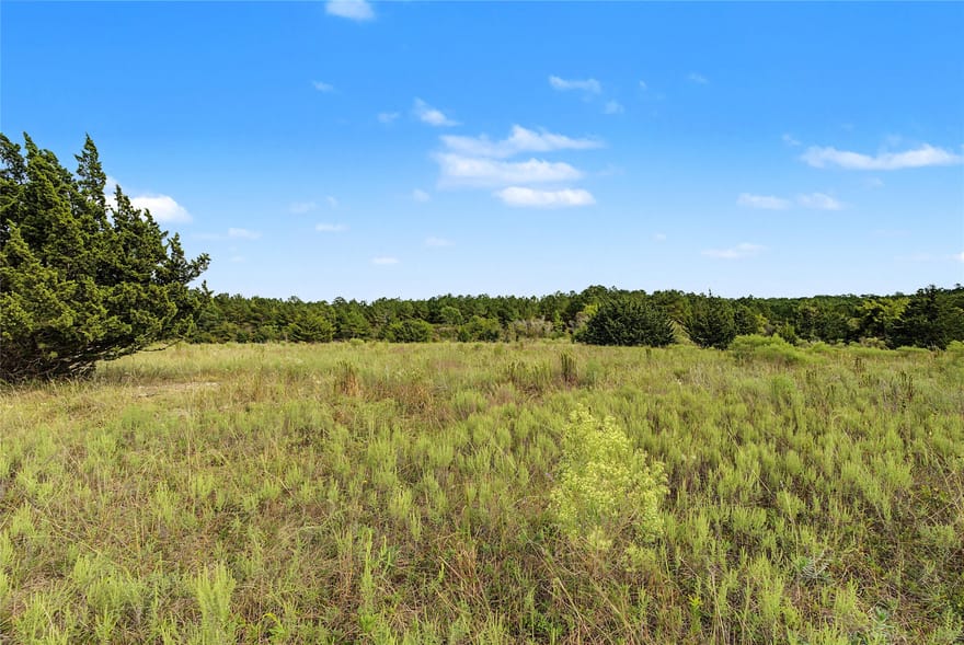 TBD Fm 980, Huntsville, Texas