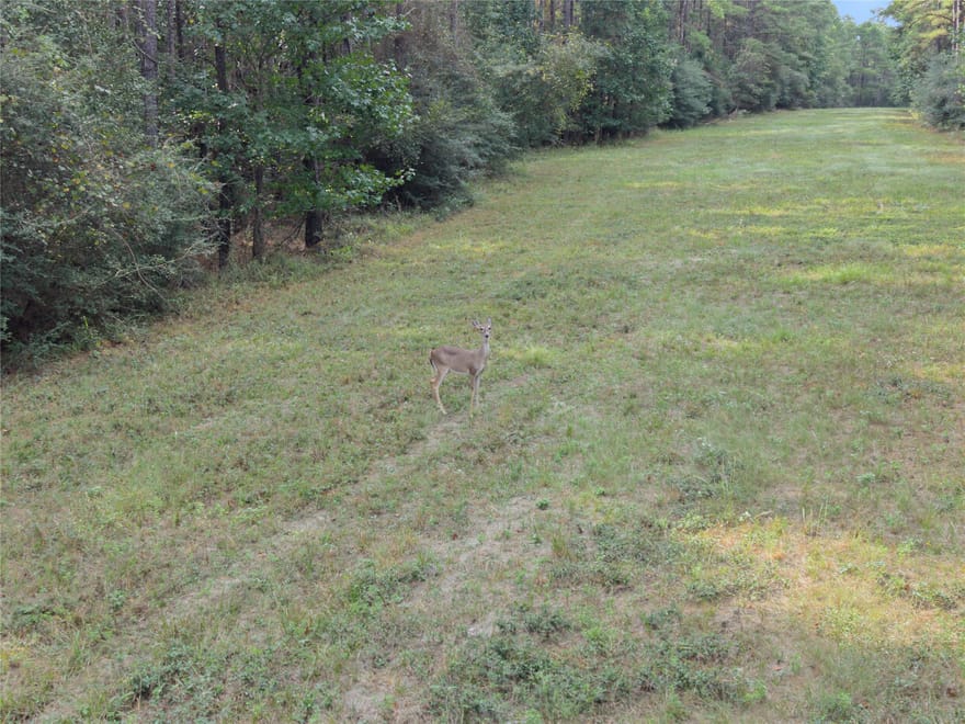 Fm 980, Huntsville, Texas