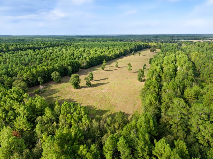 Fm 980, Huntsville, Texas