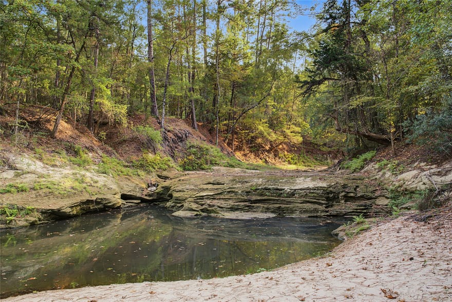 Fm 980, Huntsville, Texas