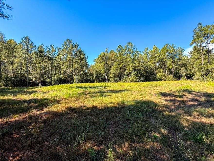 TBD County Road 4416, Spurger, Texas
