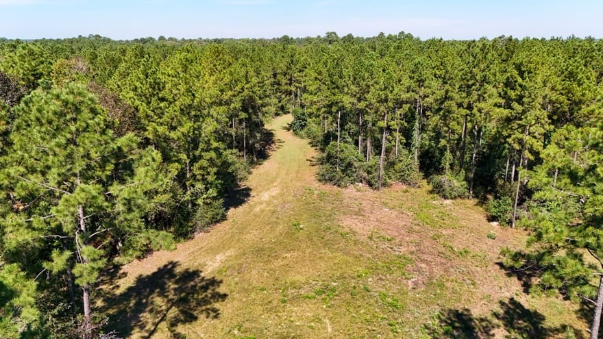 TBD County Road 4416, Spurger, Texas