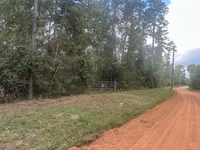 1 Salem Church Rd, Willis, Texas