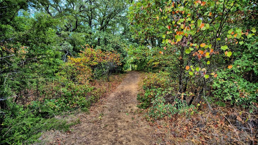 7111 Starkey Road, St Jo, Texas