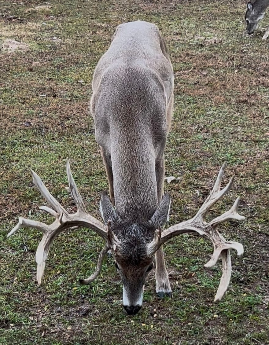 2489 Fm 256, Woodville, Texas