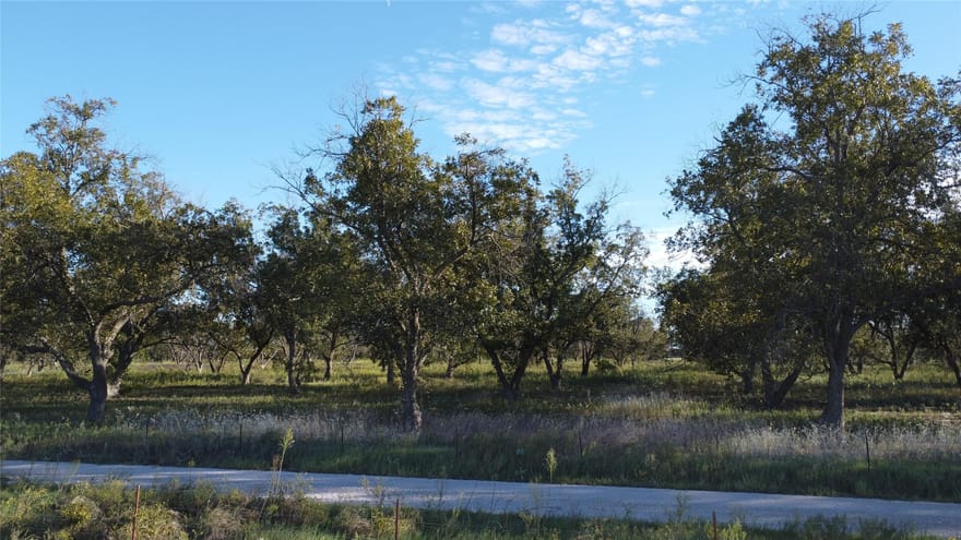 Lot 4 County Road 461, De Leon, Texas
