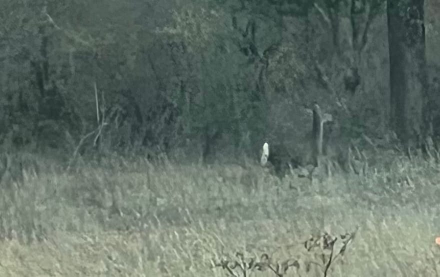 Lot 24 Pr 6332, Hamilton, Texas