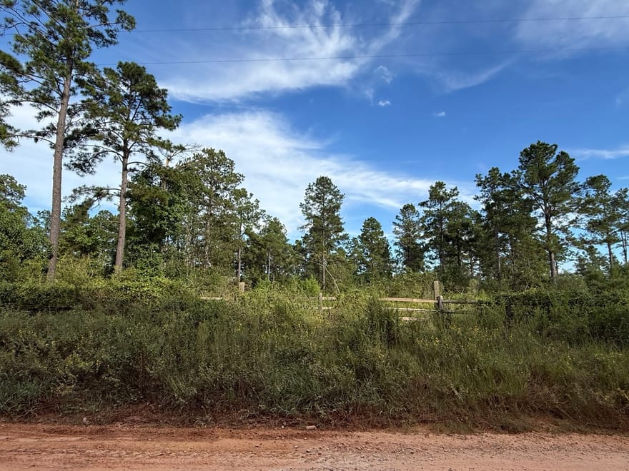 Richardson Road, Livingston, Texas