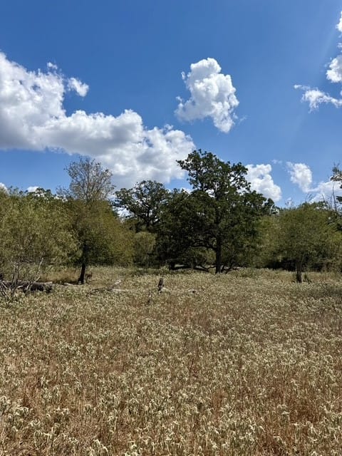 Anchor Ranch Loop, Flatonia, Texas
