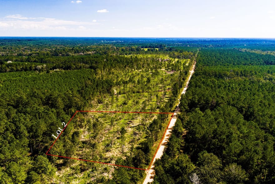 002 Buddy Lloyd Rd, Livingston, Texas