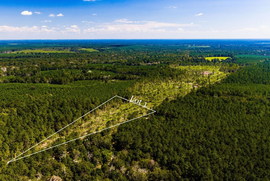 001 Buddy Lloyd Rd, Livingston, Texas