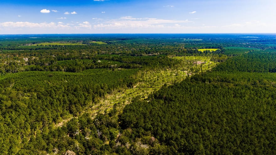 001 Buddy Lloyd Rd, Livingston, Texas
