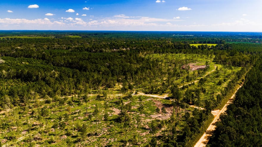 004 Buddy Lloyd Rd, Livingston, Texas