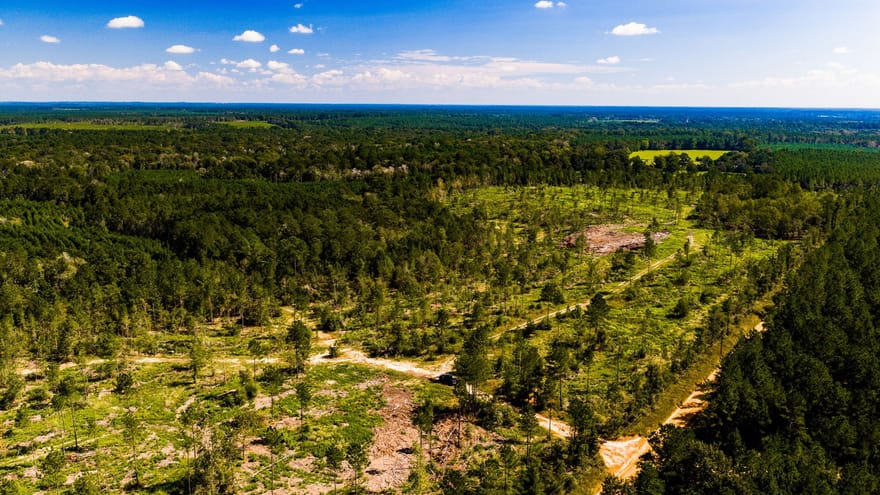 004 Buddy Lloyd Rd, Livingston, Texas