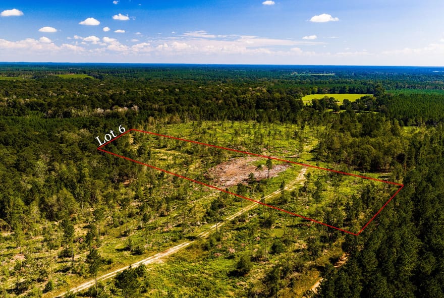 006 Buddy Lloyd Rd, Livingston, Texas